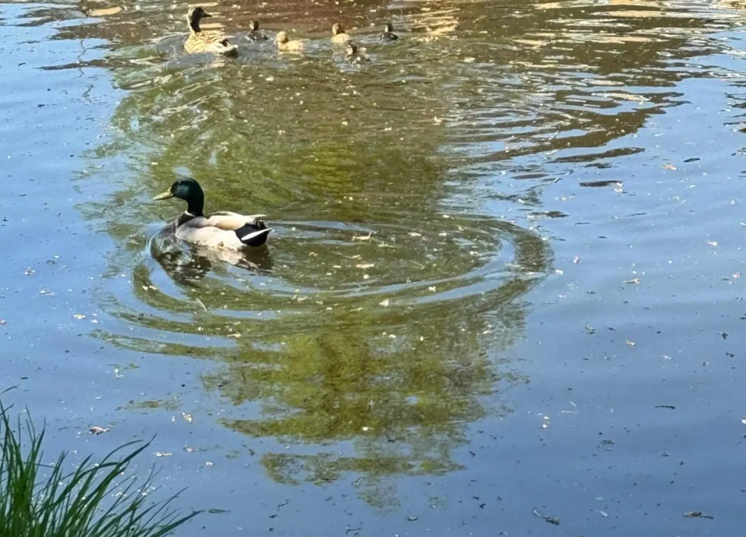Canalside Lovely Location Walking Distance To East Riddlesden Hall Close To Worth Valley Railway , Haworth, Skipton, Ilkley & Backs On To The Leeds-Liverpool Canal Keighley 0*,  Regno Unito