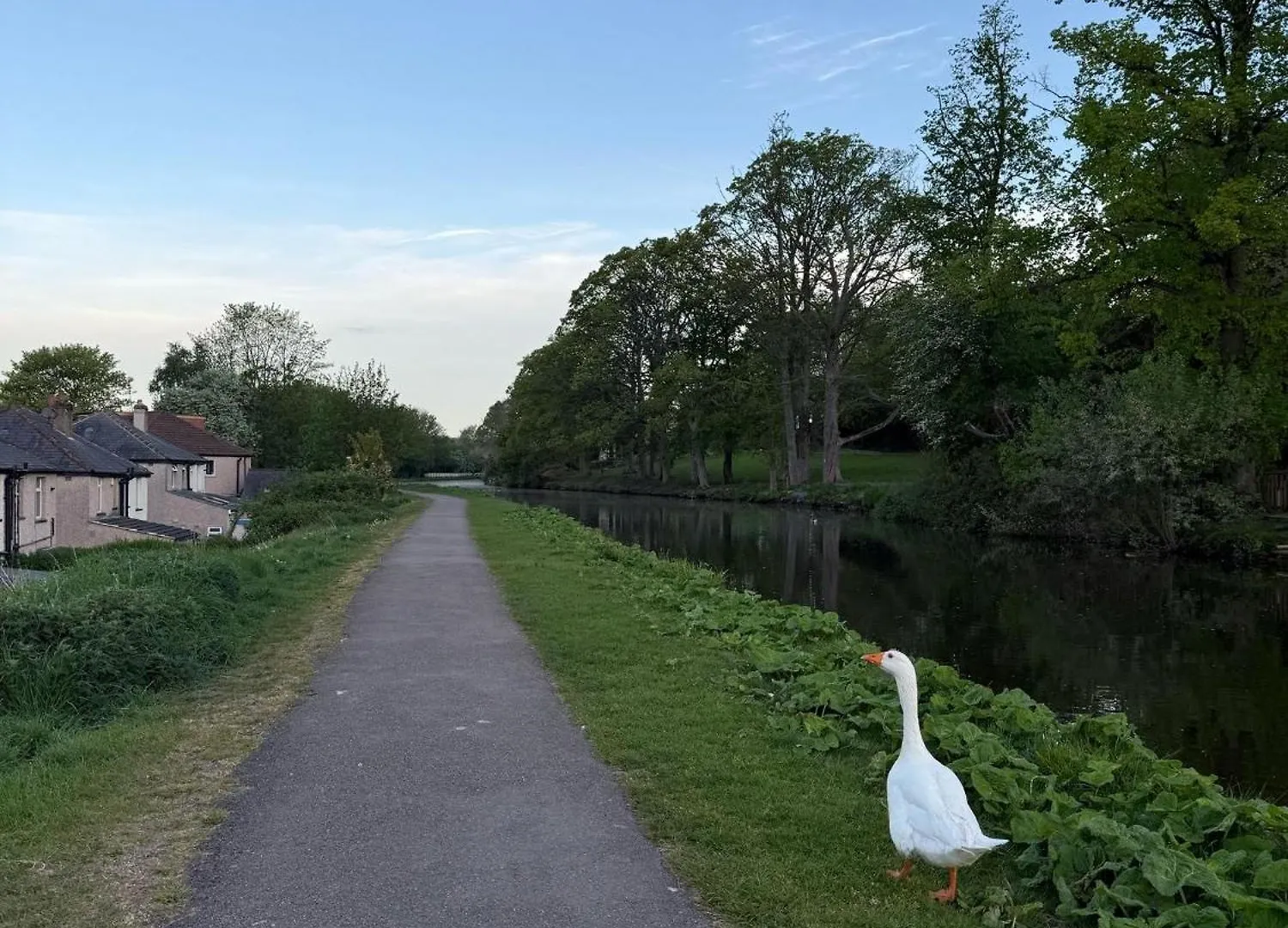 Canalside Lovely Location Walking Distance To East Riddlesden Hall Close To Worth Valley Railway , Haworth, Skipton, Ilkley & Backs On To The Leeds-Liverpool Canal Keighley Verenigd Koninkrijk